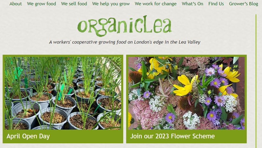 Reino Unido: Organiclea - Iniciativas inspiradoras