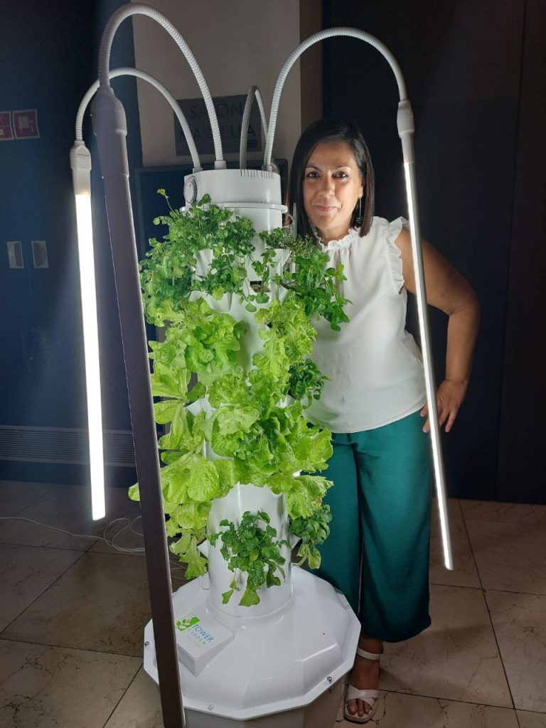 El Árbol de la Vida Saludable - Definición - E
