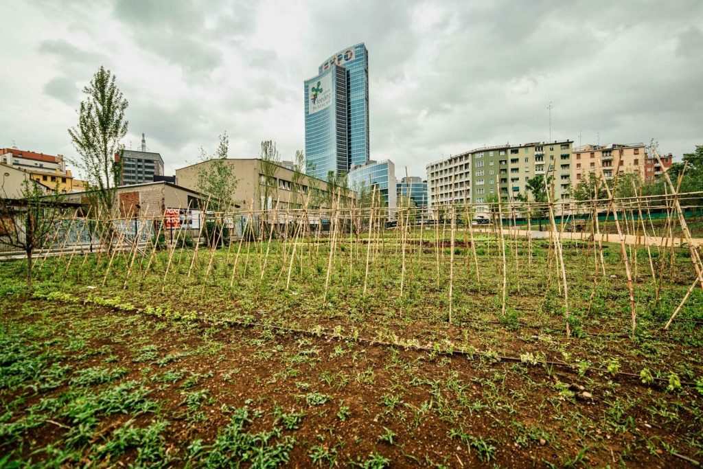 Planeamiento Urbano y Agricultura - Noticias